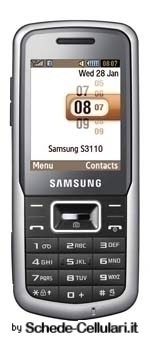 Samsung S3110