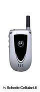 Motorola V66